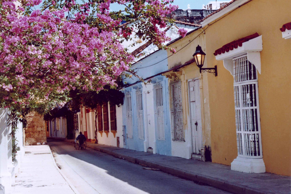 Carthagène, Colombie, rue, fleur