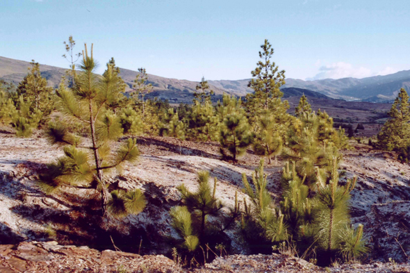 Villa de Leyva, paysage