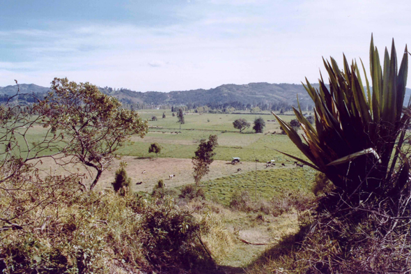 Colombie, laguna de Fuquene