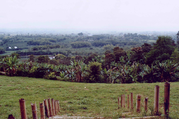 Colombie, Armenia, paysage