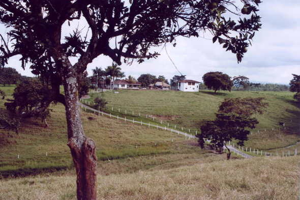 Paysage, Armenia, Colombie