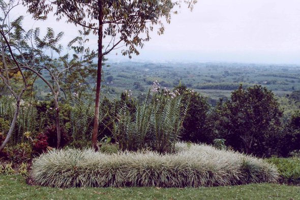 Colombie, Parc du Café