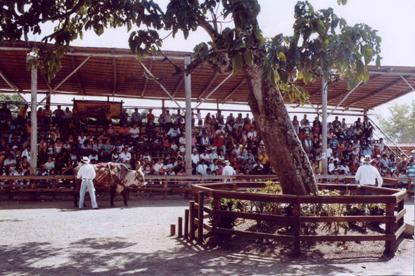 Colombie, Parc de Panaca