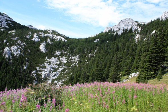 Parc National de Sjeverni Velebit