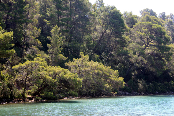 Ile de Mljet, Croatie