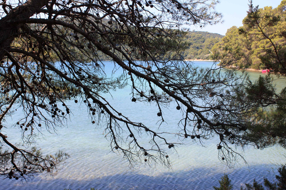 Croatie, Ile de Mljet