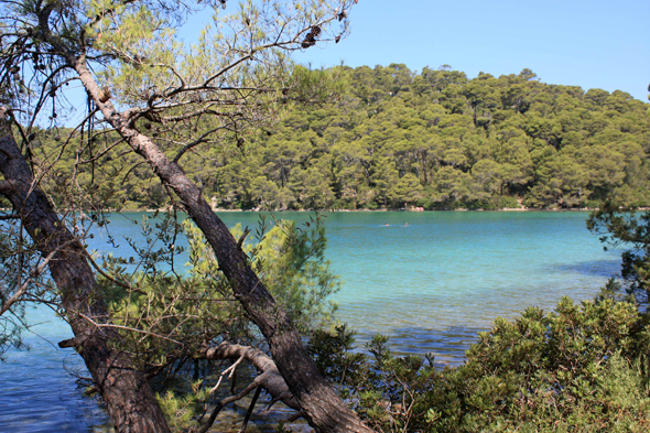 Croatie, Mljet, paysage