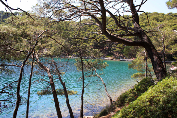 Croatie, Ile de Mljet, paysage