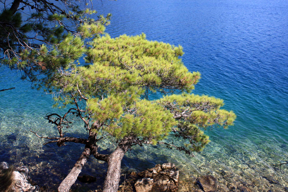 Ile de Mljet, paysage, Croatie