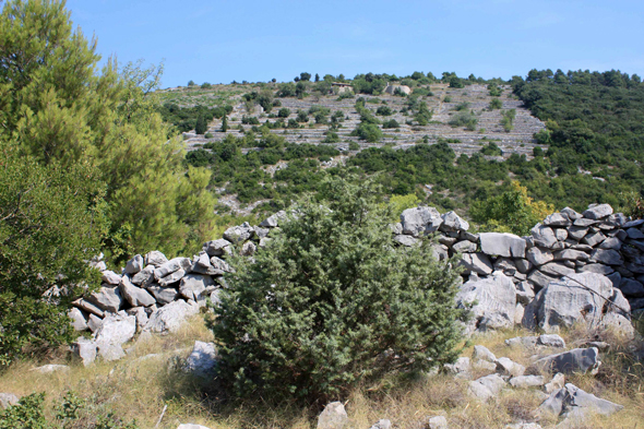 Ile de Korcula, Croatie, paysage