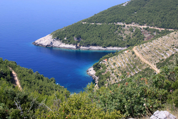 Korcula, baie d'Orlandusa