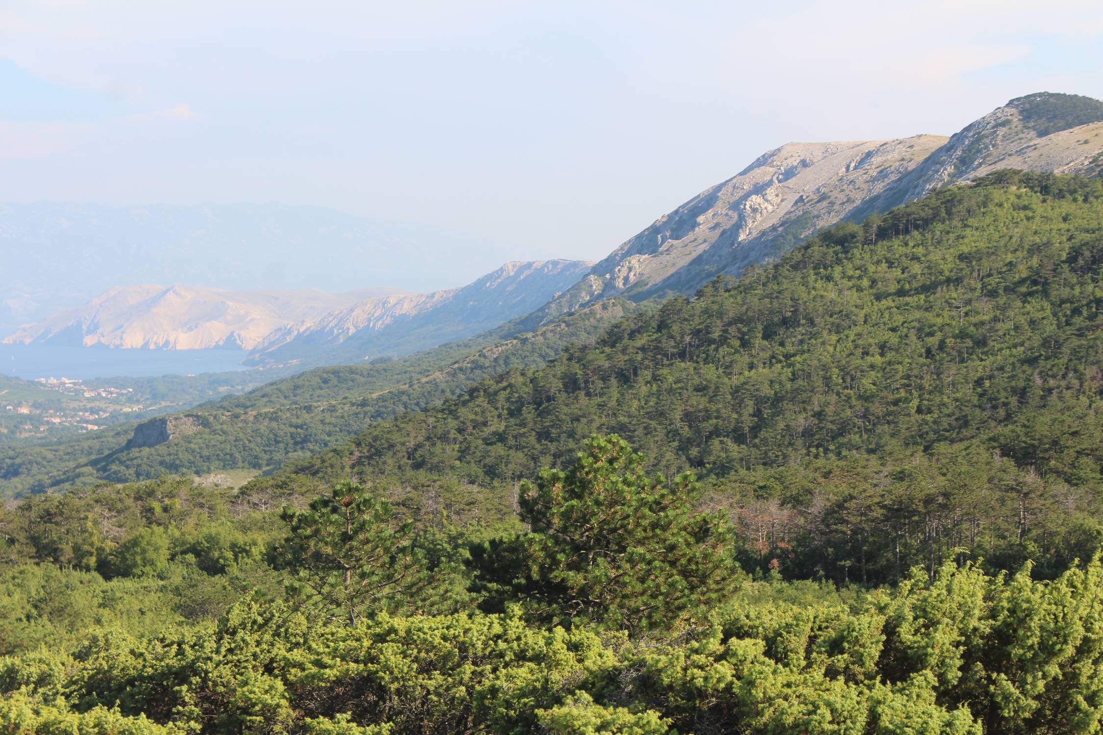 Ile de Krk, paysage, Obzova