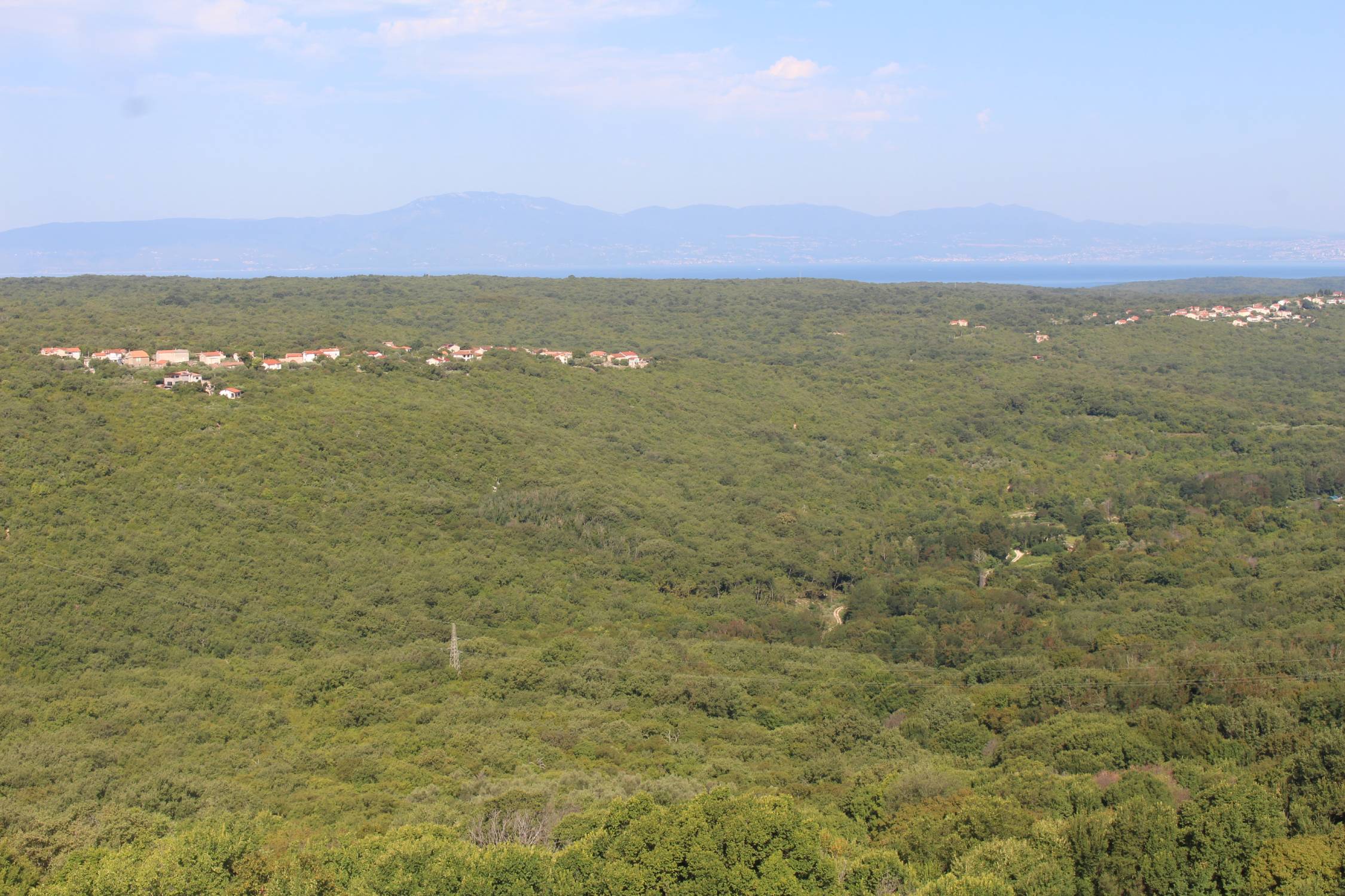 Ile de Krk, Dobrinj, forêt