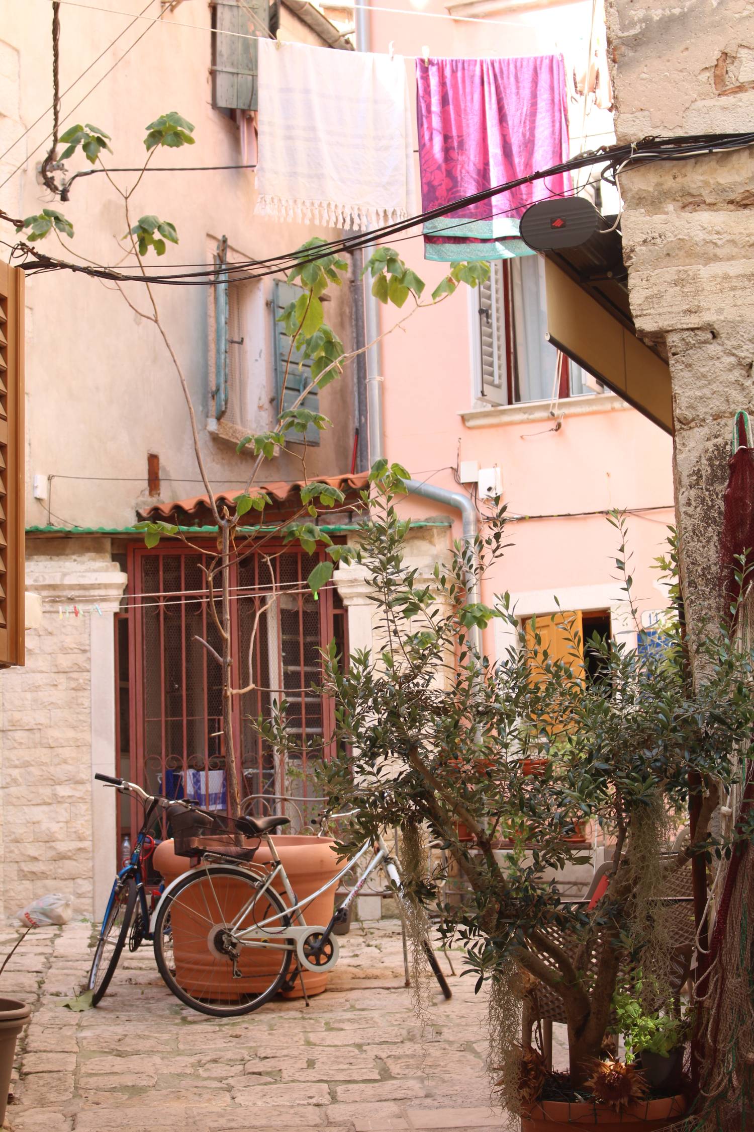 Rovinj, Istrie, ruelle typique