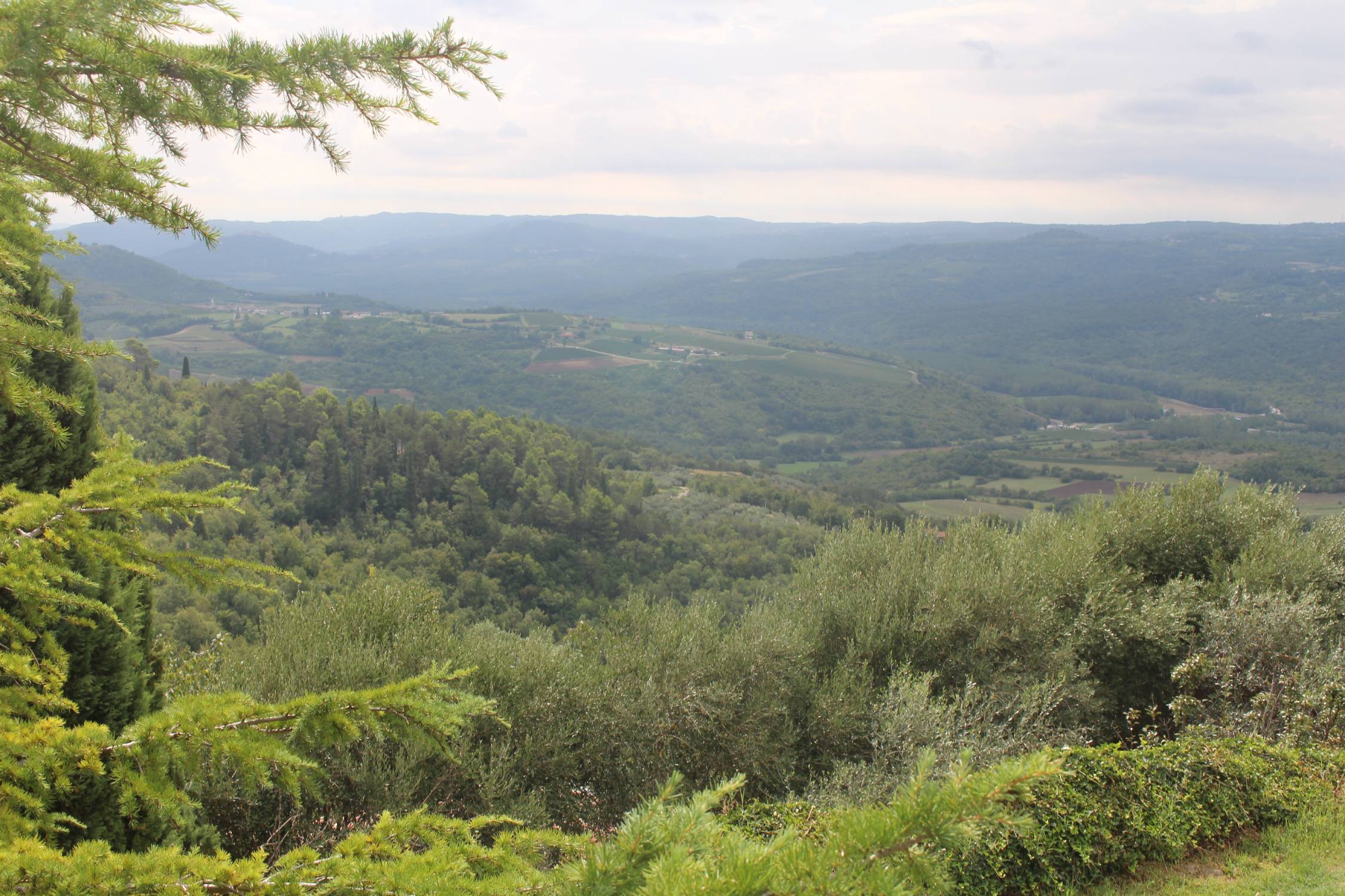 Grožnjan, paysage