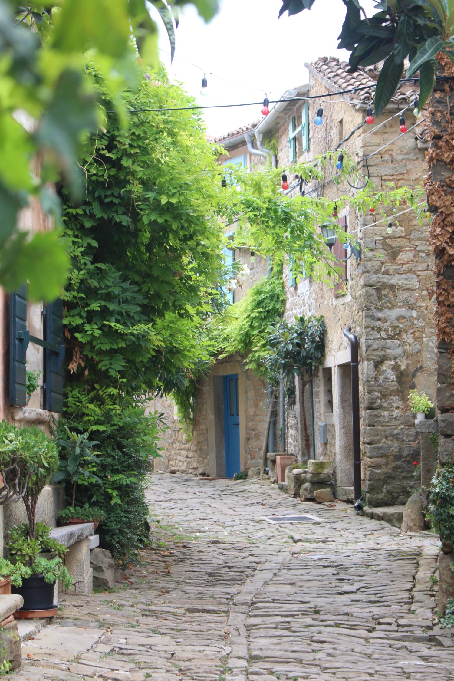Grožnjan, ruelle typique