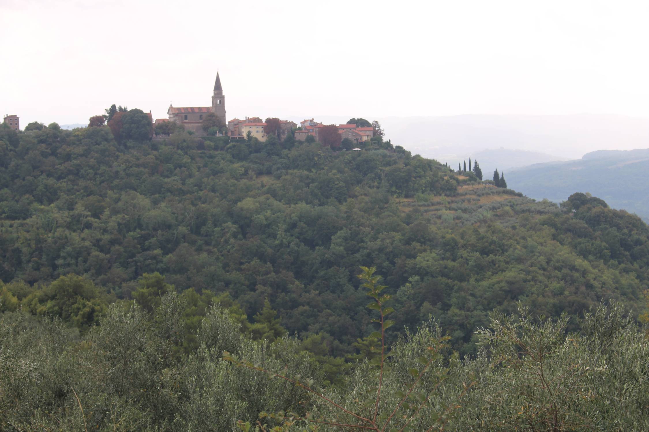 Grožnjan, panorama