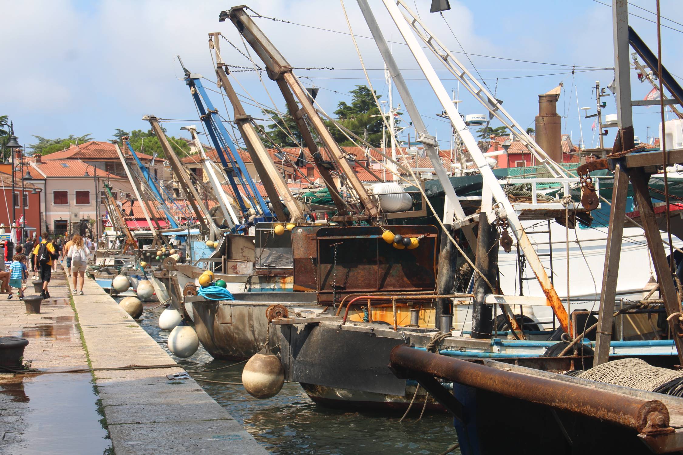Novigrad, bateaux de peche