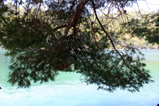 Nature sauvage de Mljet