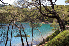 Criques de l'&icirc;le de Mljet