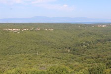For&ecirc;t de Dobrinj
