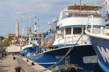 Bateaux de p&ecirc;che &agrave; Rovinj