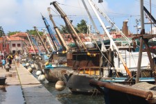 Bateaux de p&ecirc;che de Novigrad