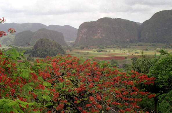 Cuba, Vallée des Mogotes