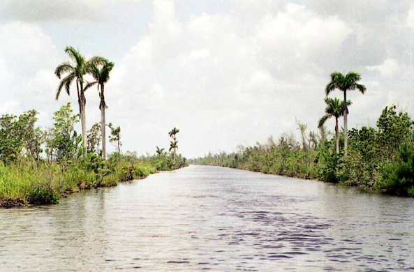 La Laguna del Tesoro, Cuba