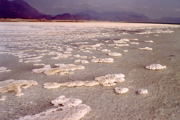 Lac Assal, sel