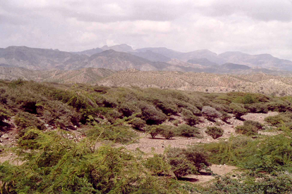 Djibouti, Wéa, paysage