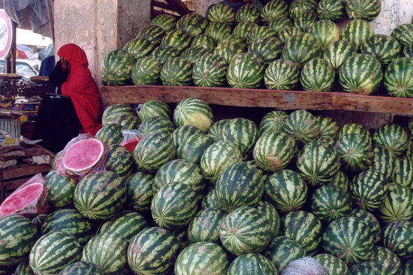 Djibouti, pastèques