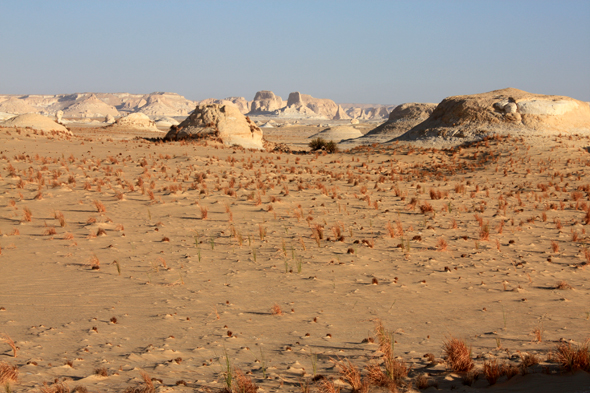 Désert Blanc, magnifique paysage, Egypte