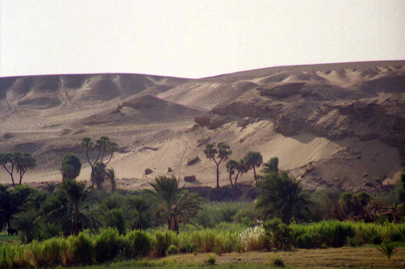 Naj al-Hawsh, Egypte
