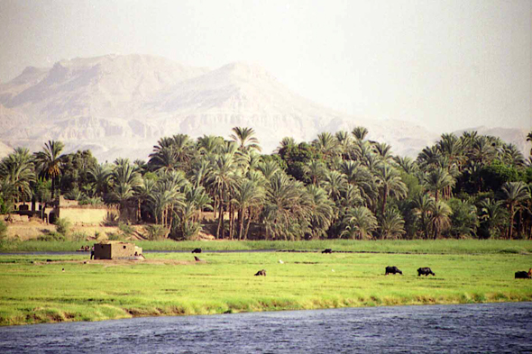 Fatirah, Egypte, paysage