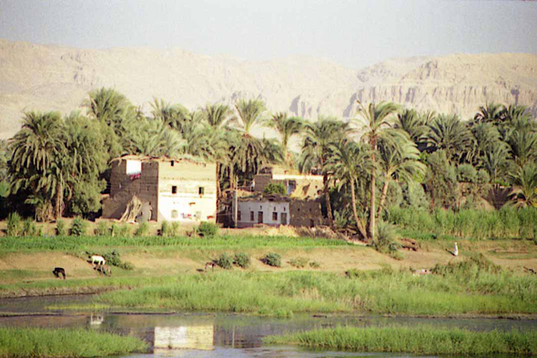 Fatirah, paysage, Egypte