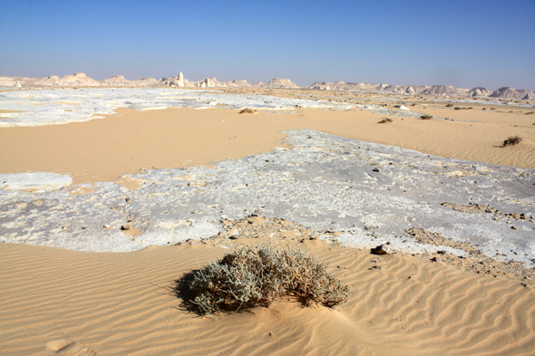 Calcaire, Désert Blanc, paysage