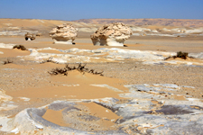 D&eacute;sert Blanc, dunes
