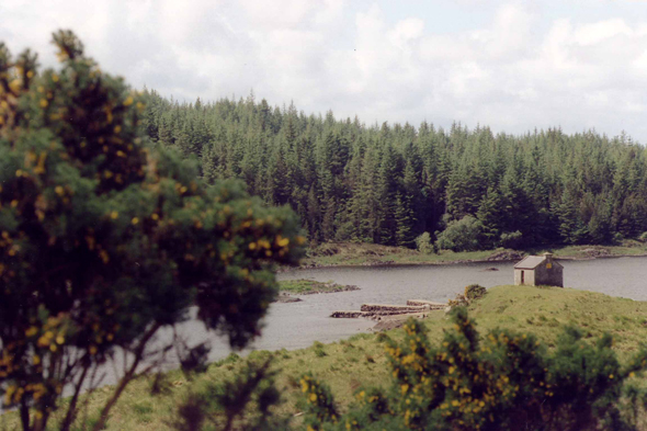 Derrylea, paysage
