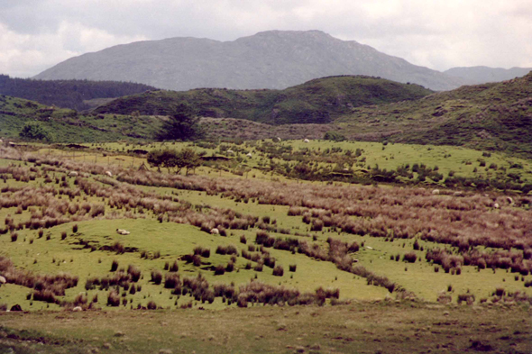 Irlande, Derrylea, paysage