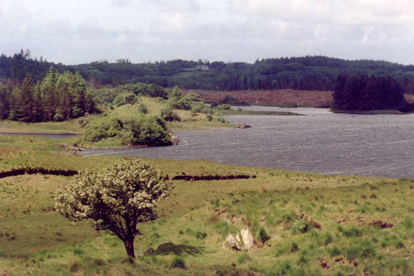 Derrylea, paysage, Irlande