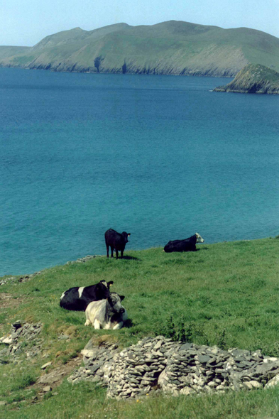 Slea Head, paysage