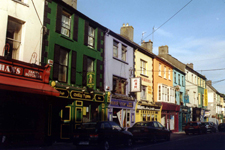 Mallow, rue color&eacute;e