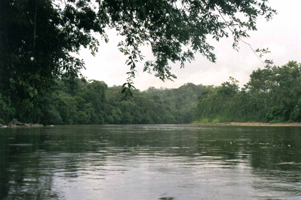 Equateur, Rio Napo