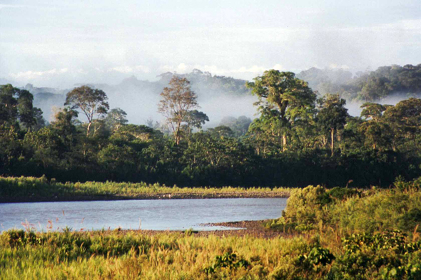 Equateur, Amazonie