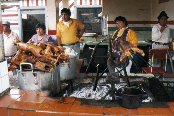 Riobamba, cochons d'Iinde