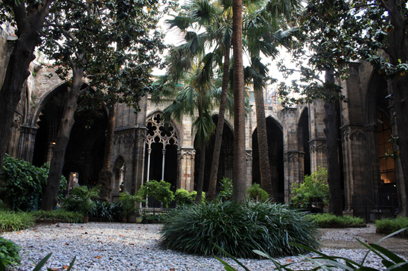 Barcelone, Cathédrale de la Seu, cloître