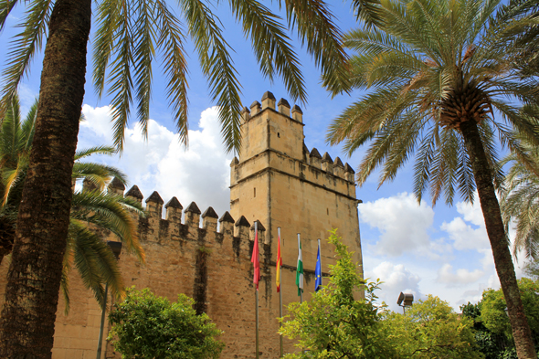 Cordoue, Paloma de l'Alcazar, tour