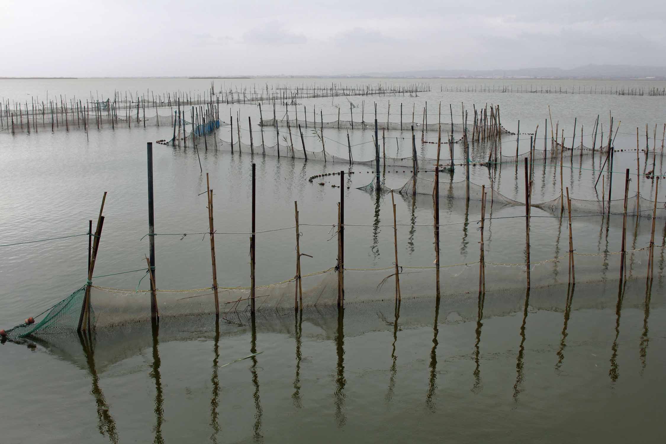 Valence, parc de Albufera