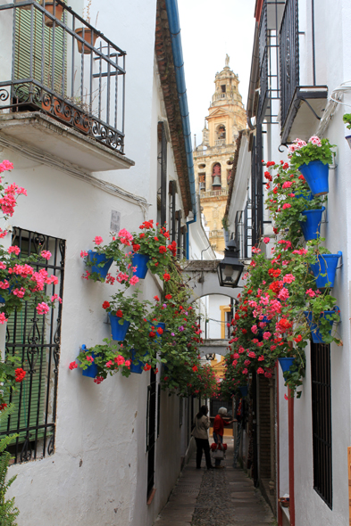 Cordoue, Calleja de las Flores